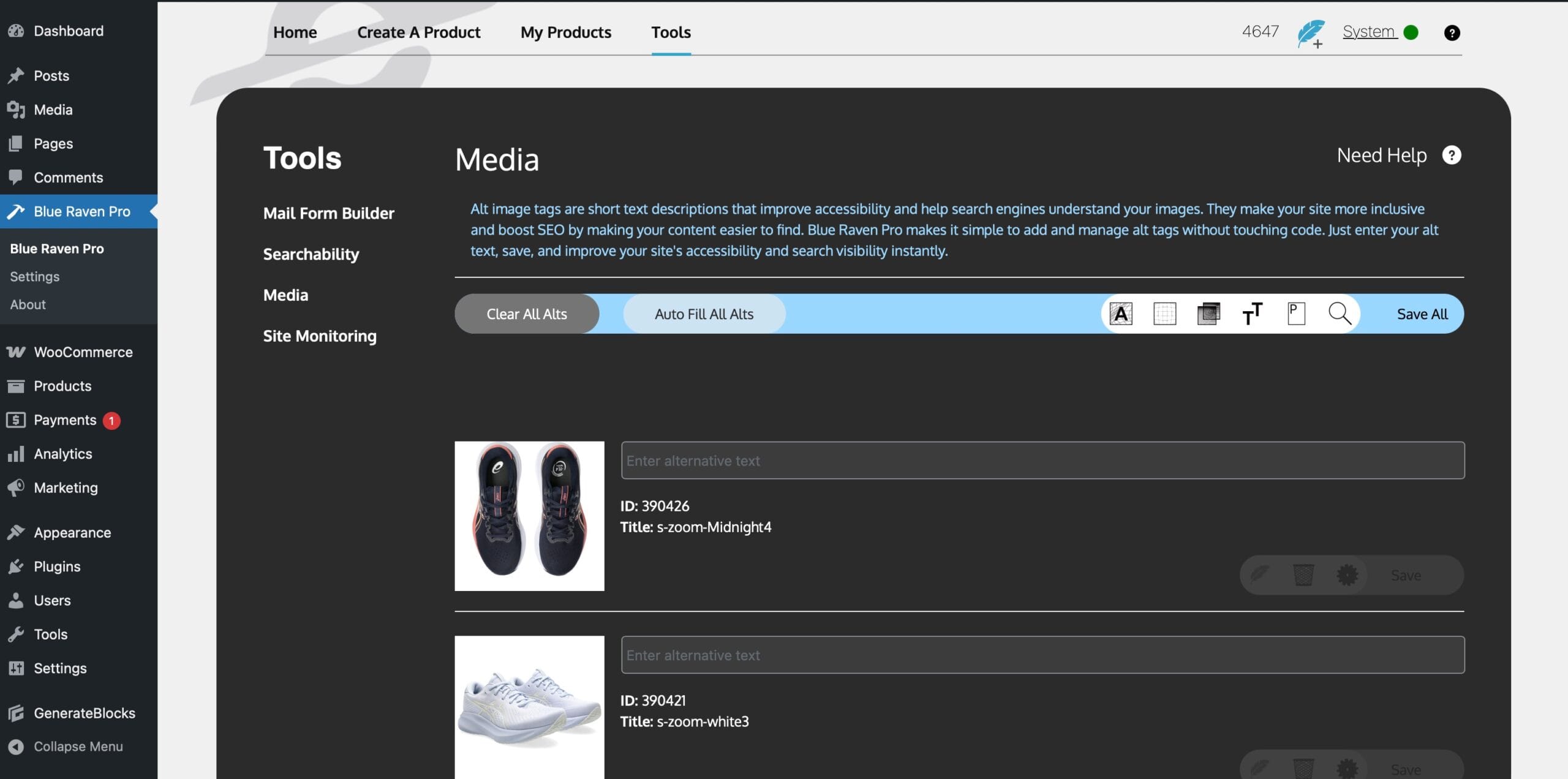 Blue Raven Pro - Media Area for automatic Alt Text generation based on the image supplied.