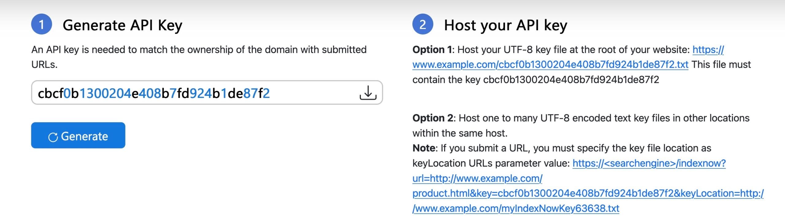 API key generation and hosting instructions with key example and hosting options.