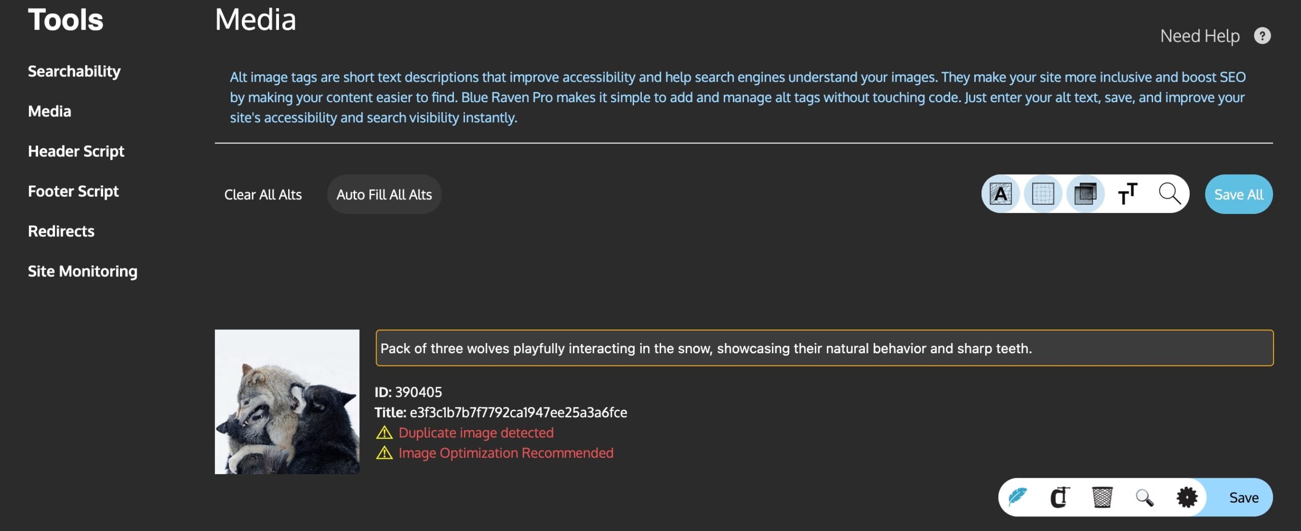 Software interface for managing alt text, showing options for editing and saving descriptions for images.