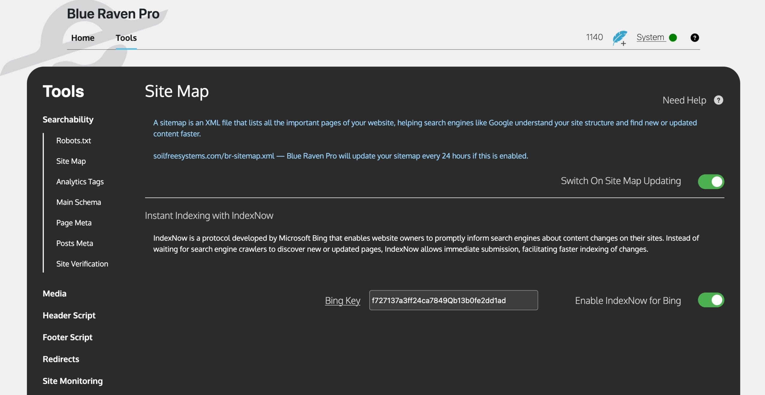 Blue Raven Pro interface showing Site Map and IndexNow tool settings with toggles for site map updating and Bing integration.